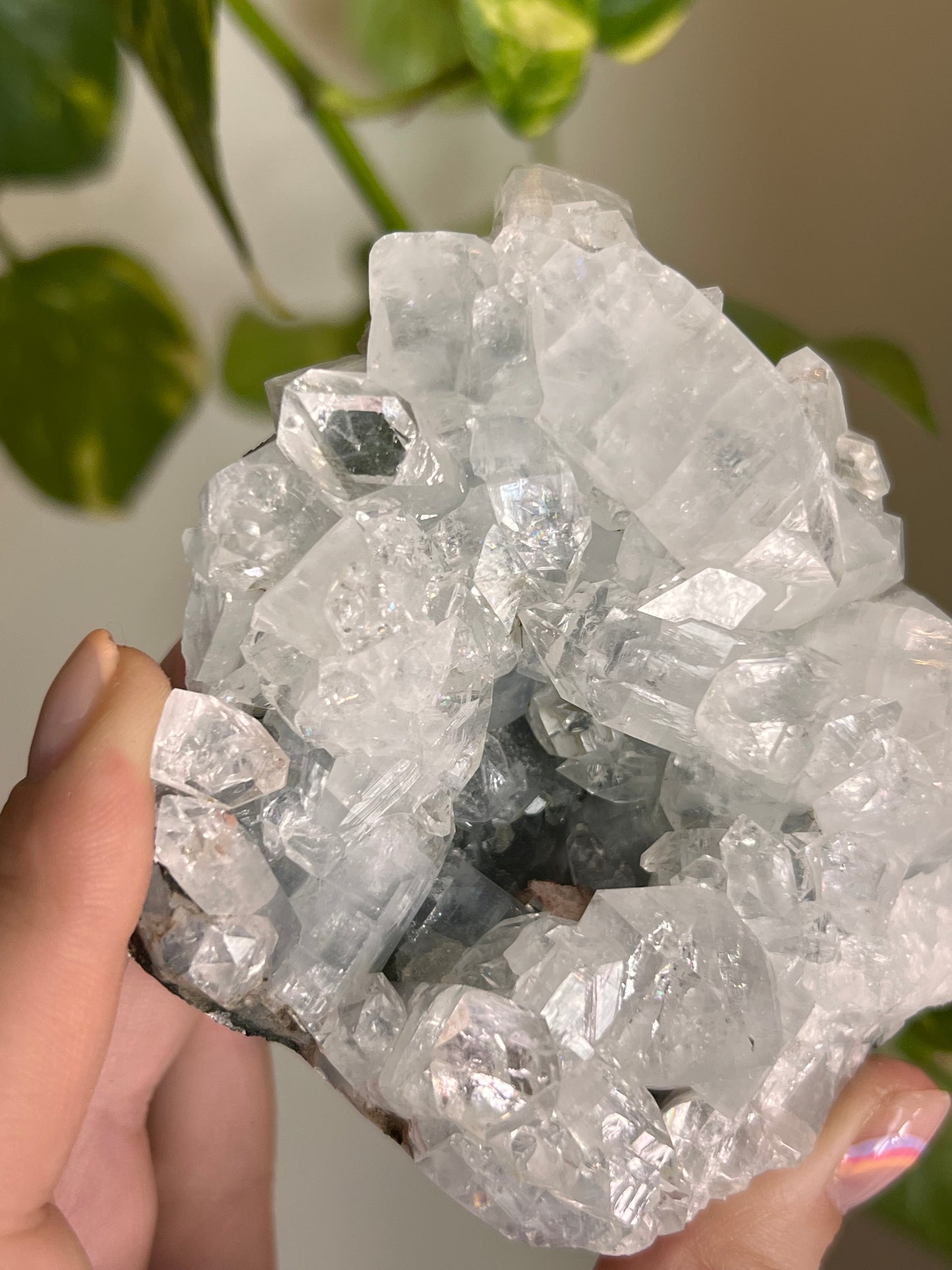Apophyllite Cluster - Y