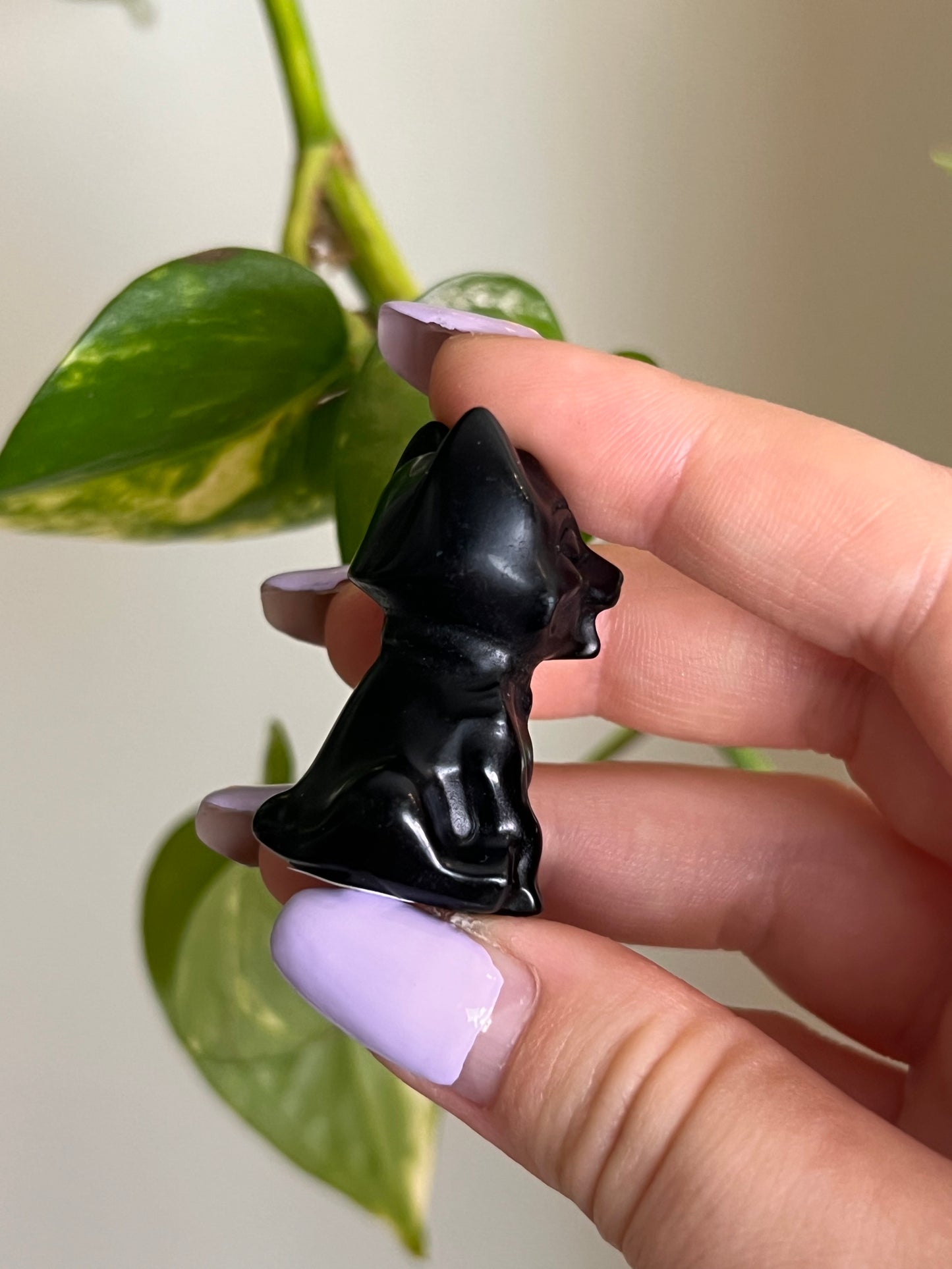 Black Obsidian Cub