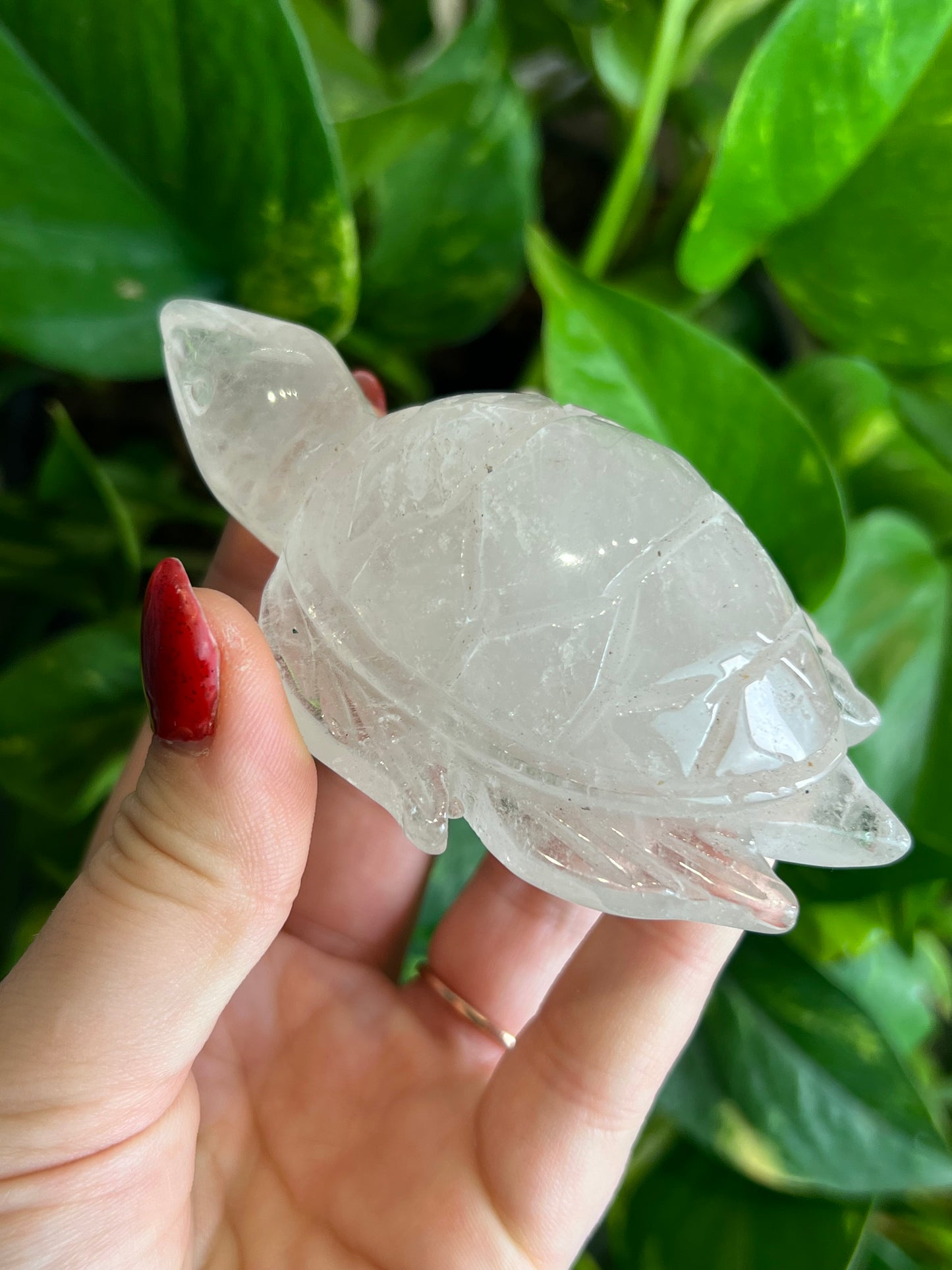 Clear Quartz Sea Turtle