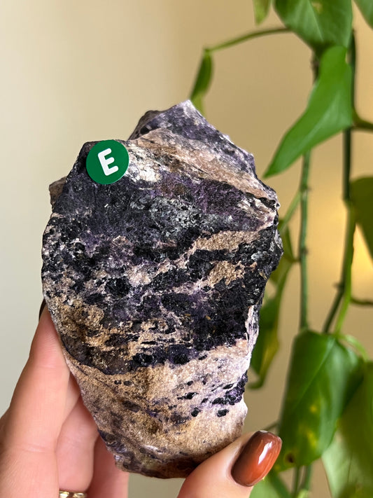 Raw Purple Fluorite From Ontario - E