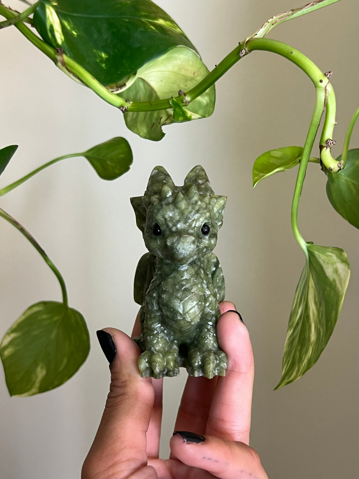 Jade Dragon