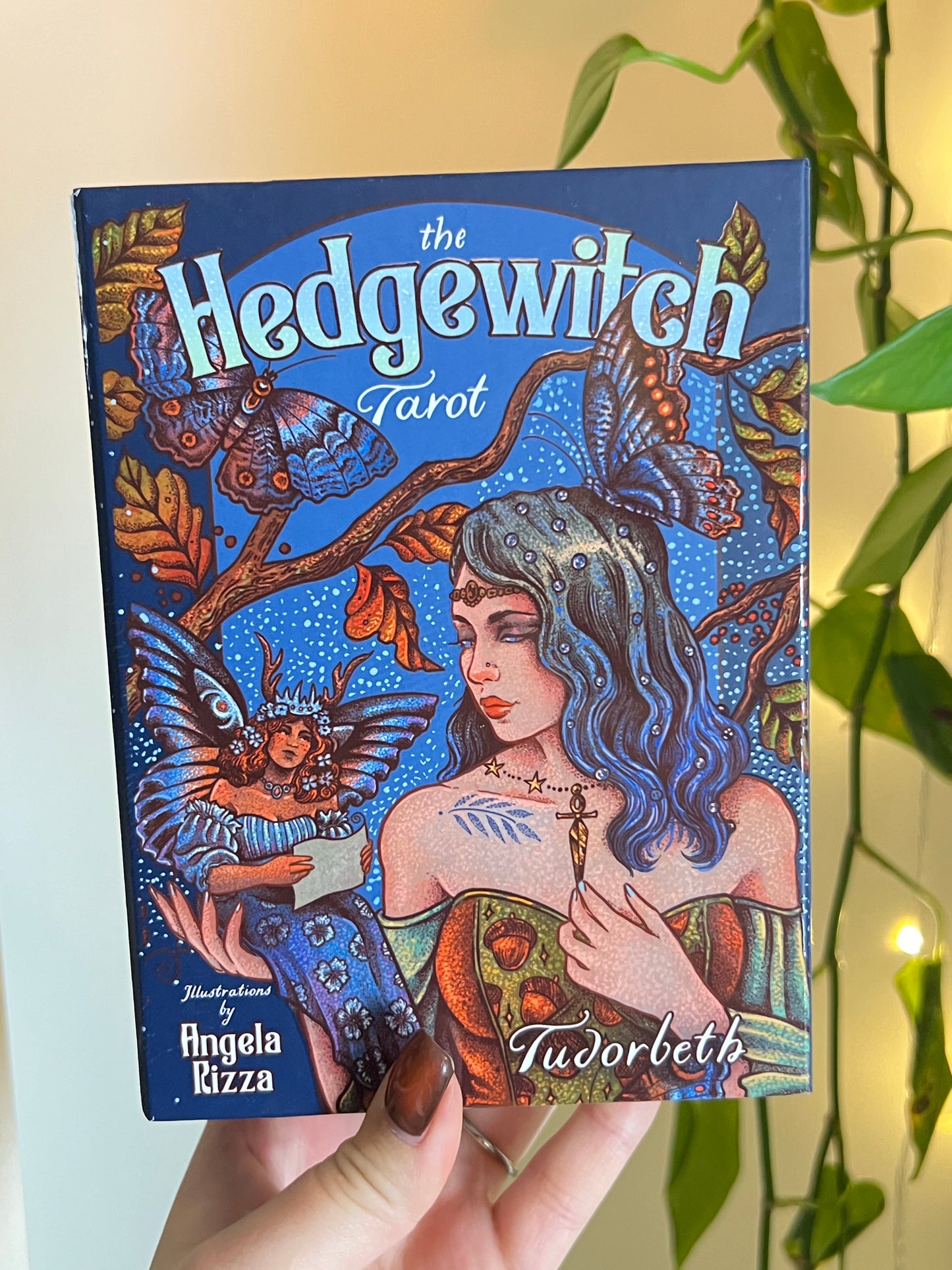 The Hedgewitch Tarot