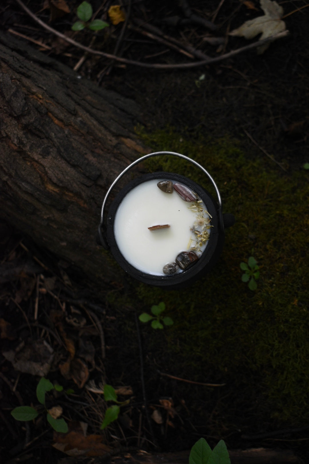 Autumnal Equinox Cauldron Candle | Green Tea + Warm Cedar 🍂