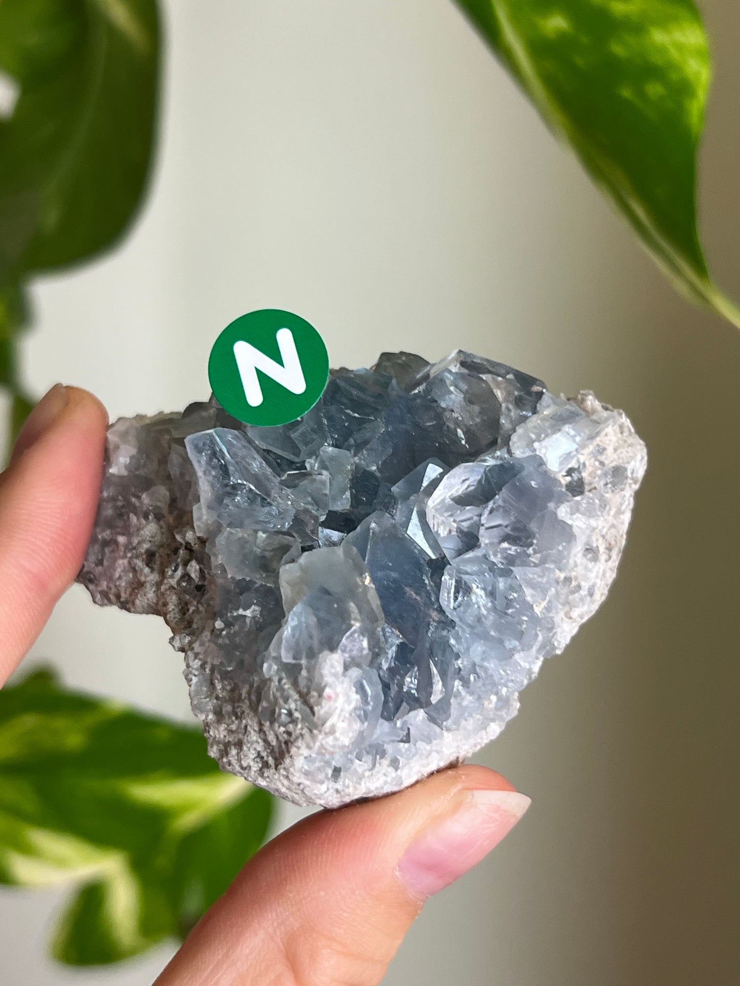 Celestite Cluster Small - N