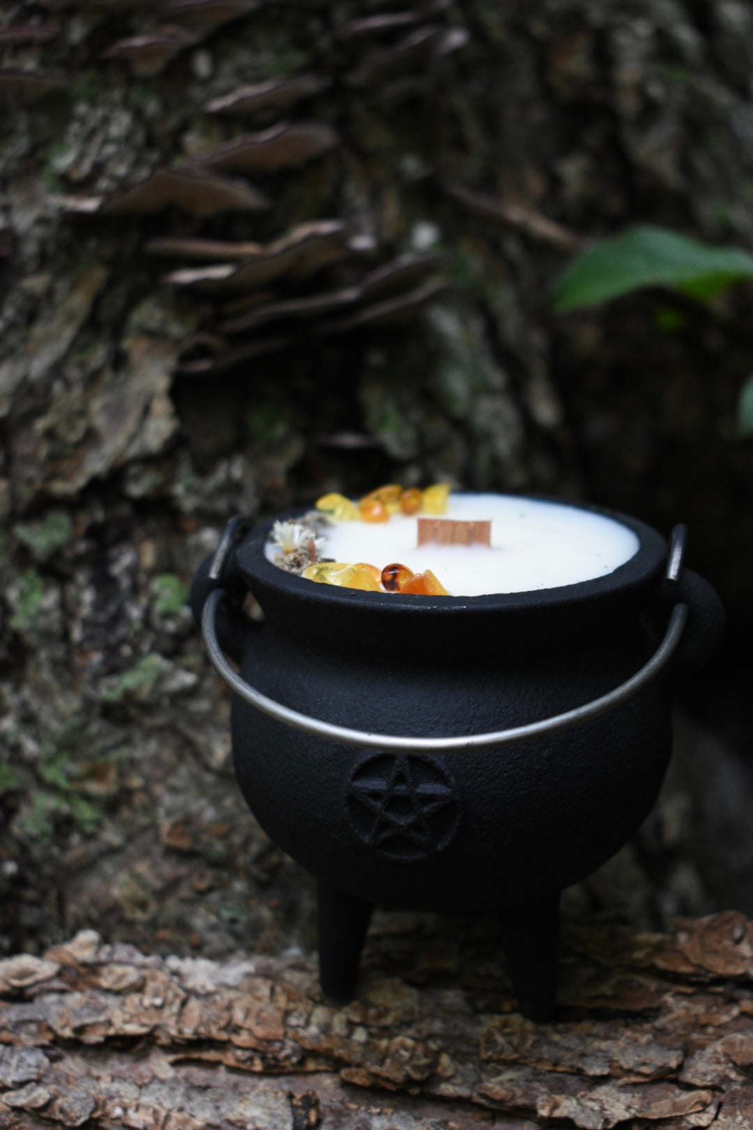 Samhain Spirits Cauldron Candle | Pumpkin + Sandalwood 🎃