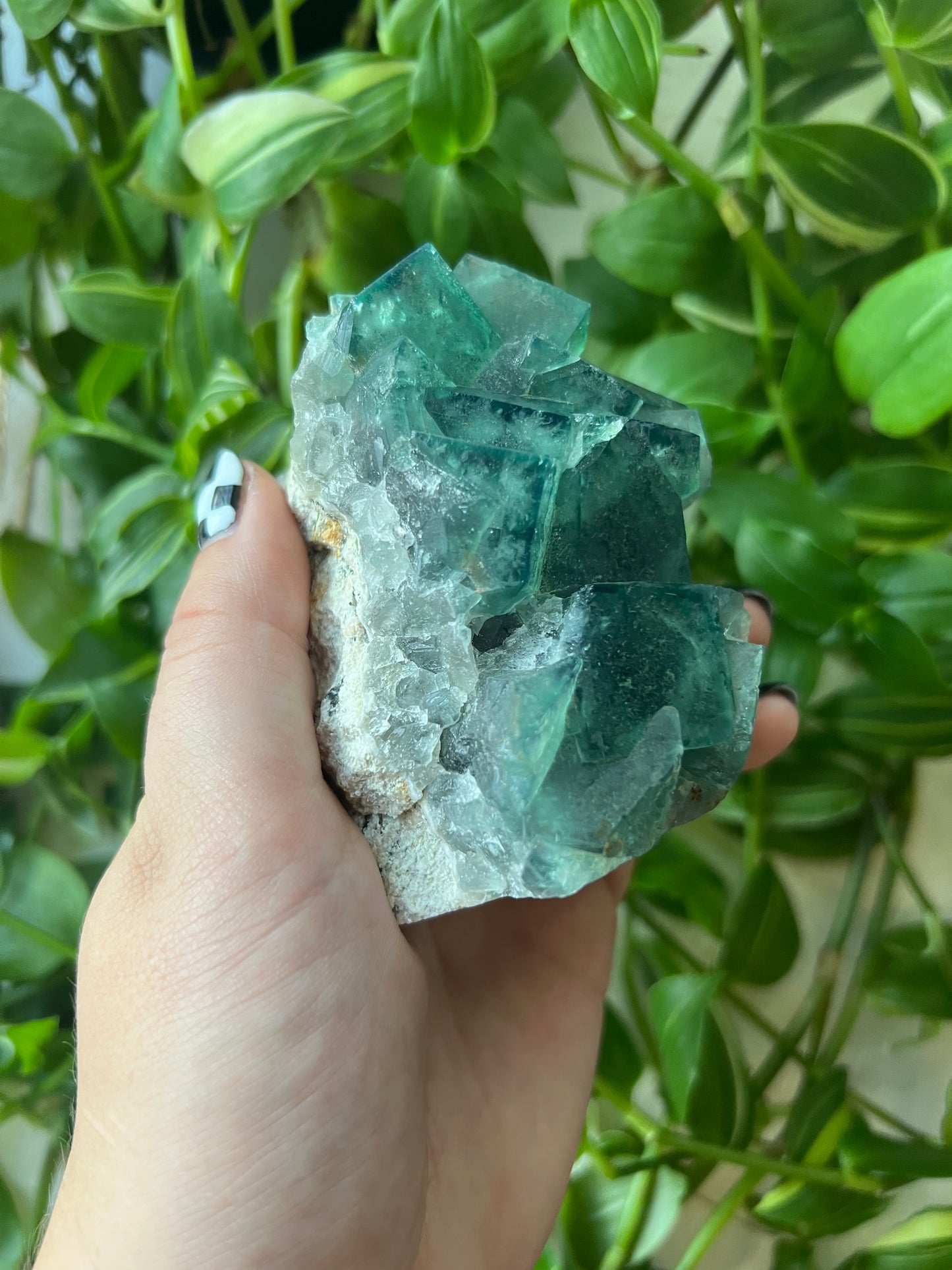 Green Cubic Fluorite