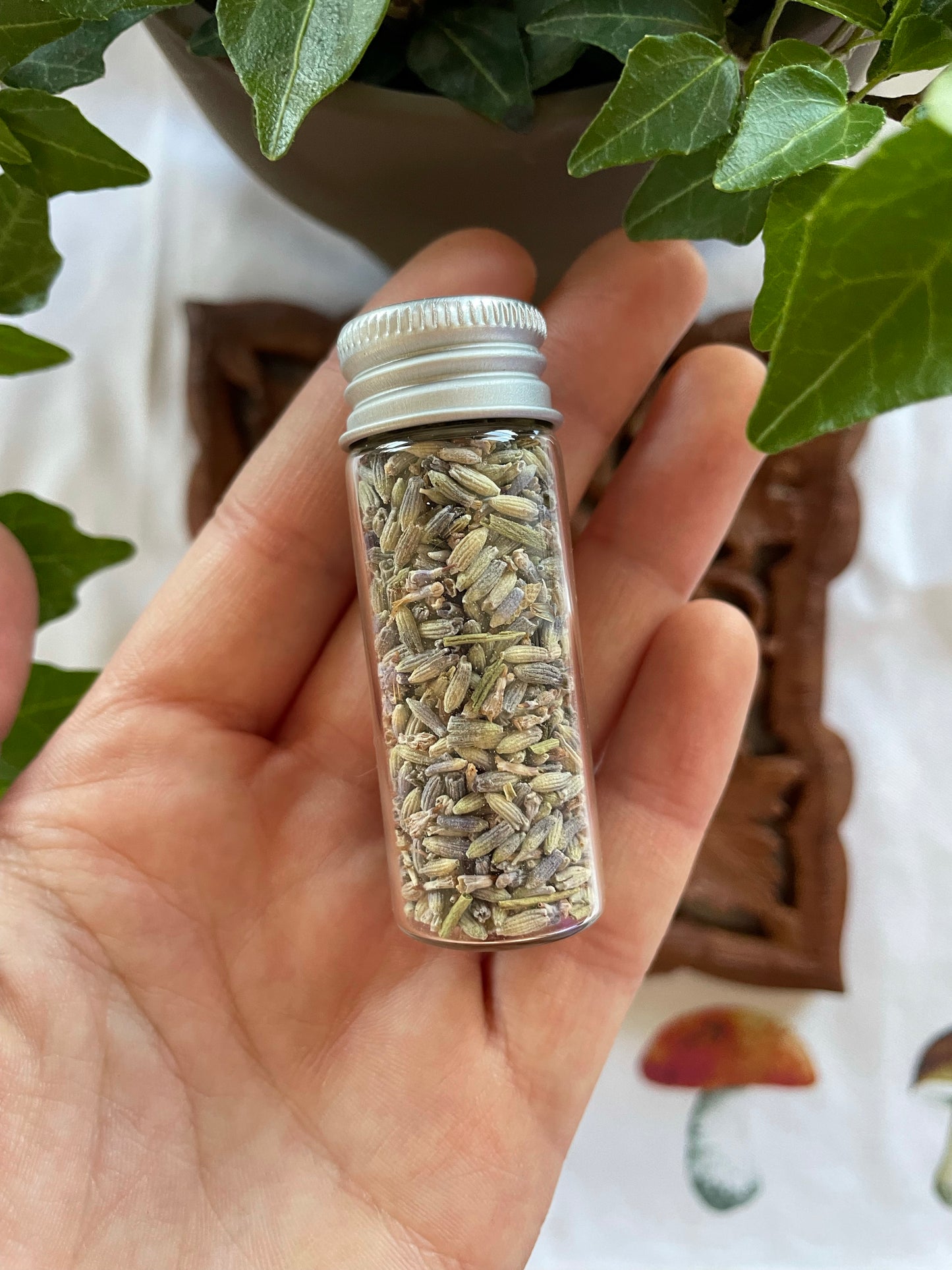 Dried Lavender Vial