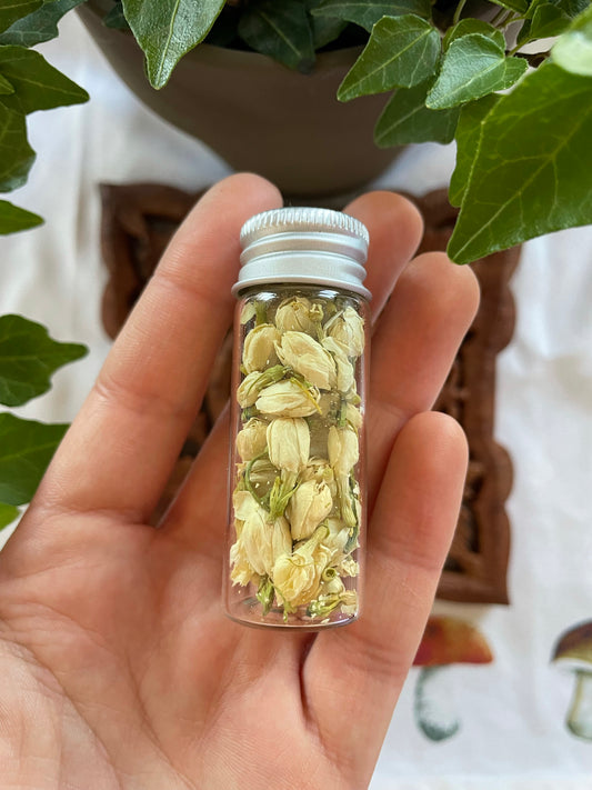 Dried Jasmine Vial